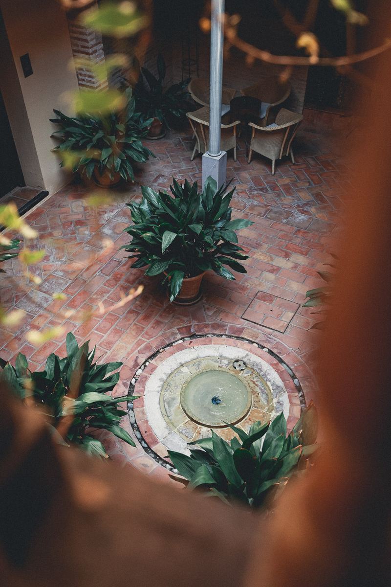 Patio pavé et fontaine centrale entourés de plantes vertes