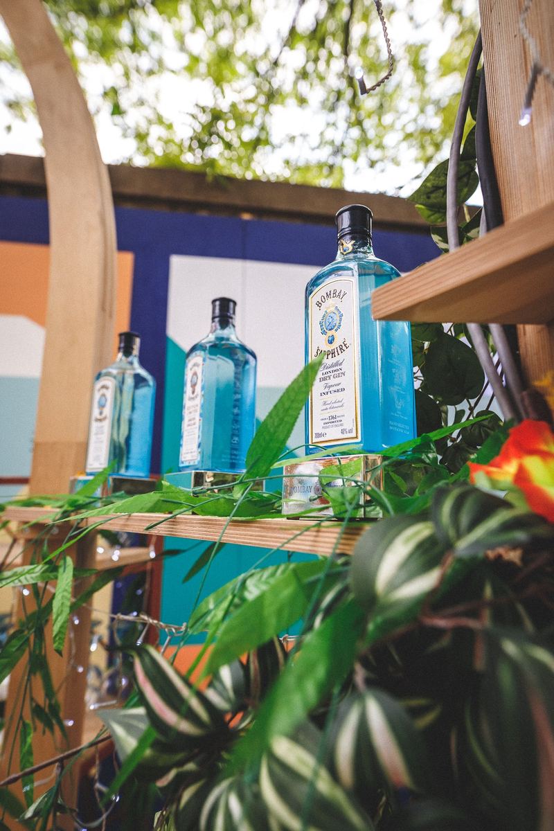 Bouteilles de gin alignées sur une étagère, entourées de feuillage